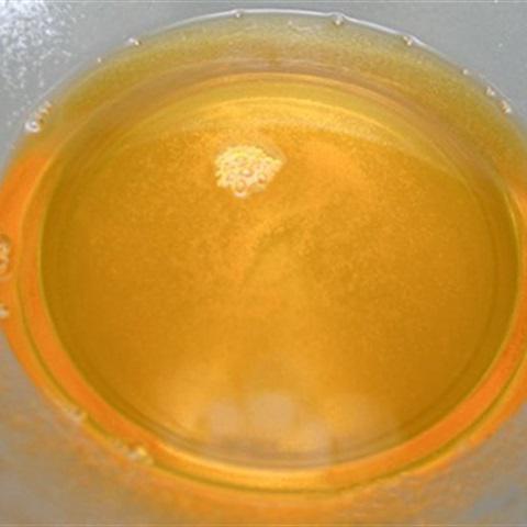 Cách làm pudding xoài chín đơn giản