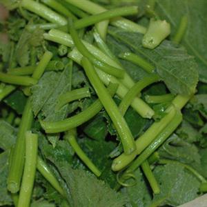 Cách làm rau bí xào tỏi