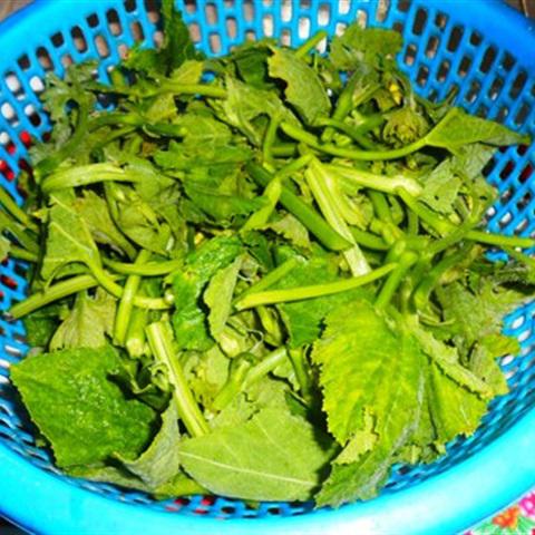 Cách làm rau bí xào tỏi băm