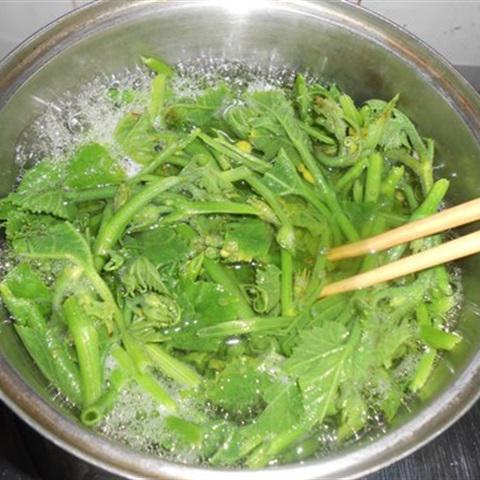 Cách làm rau bí xào tỏi băm