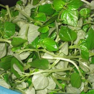 Cách làm rau càng cua trộn dầu giấm