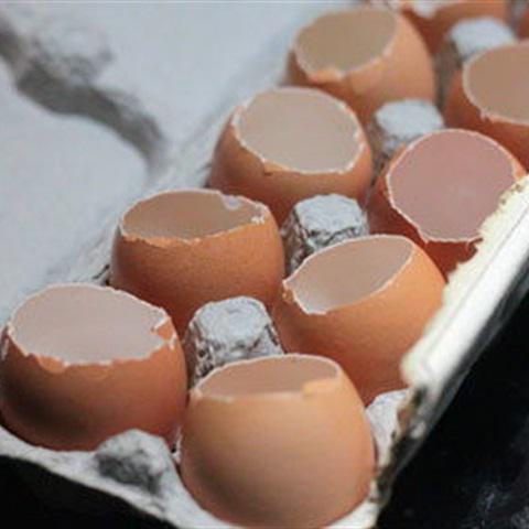 Cách làm rau câu hình trứng gà