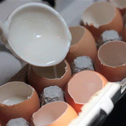 Cách làm rau câu hình trứng gà