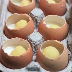 Cách làm rau câu hình trứng gà