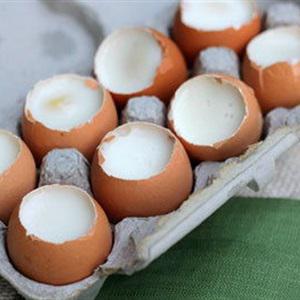 Cách làm rau câu hình trứng gà