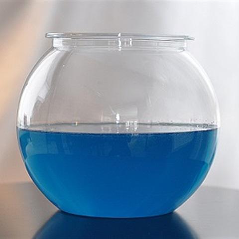 Cách làm rau câu kiểu tiệc bãi biển