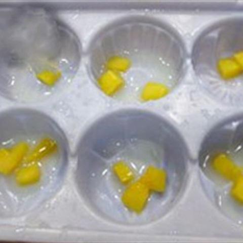 Cách làm rau câu sữa nhân xoài