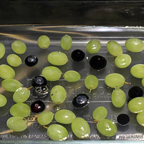 Cách làm rau câu trái cây