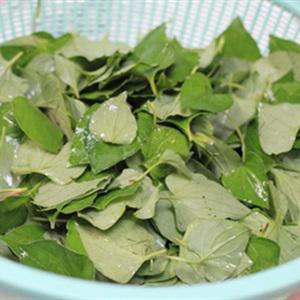 Cách làm rau diếp cá trộn thịt bò