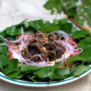 Cách làm rau diếp cá trộn thịt bò