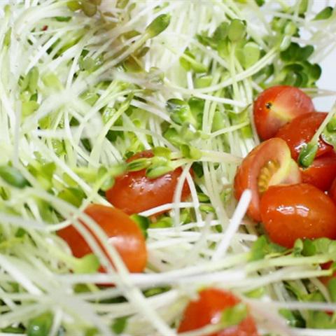 Cách làm rau mầm trộn thịt bò