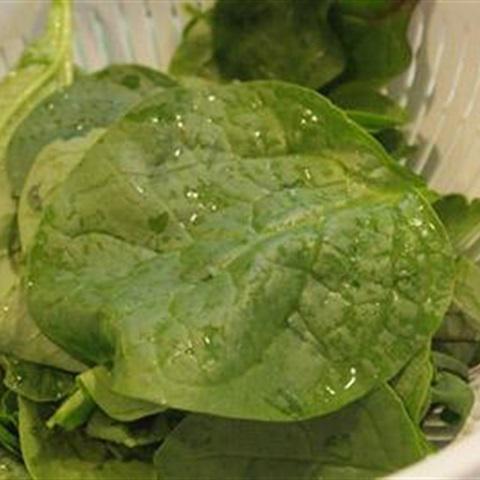 Cách làm rau mồng tơi xào tỏi