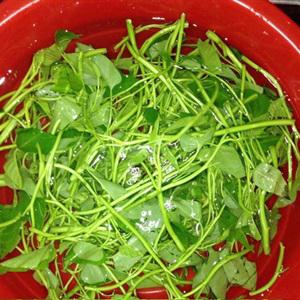 Cách làm rau muống xào chao trắng