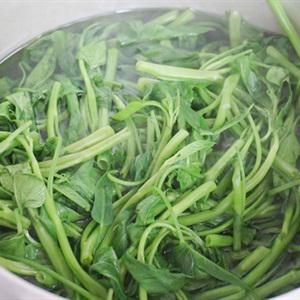 Cách làm rau muống xào tỏi băm