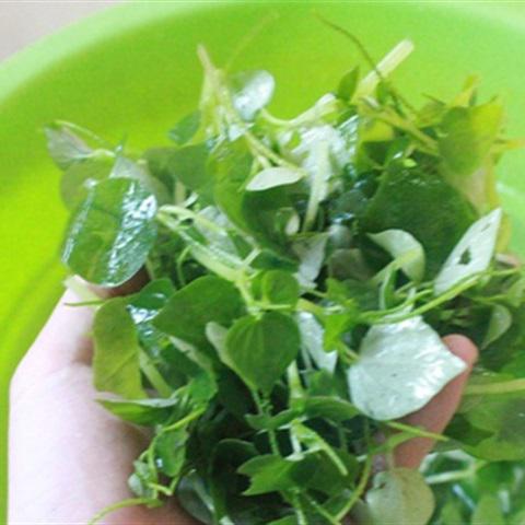 Cách làm rau trộn chua ngọt