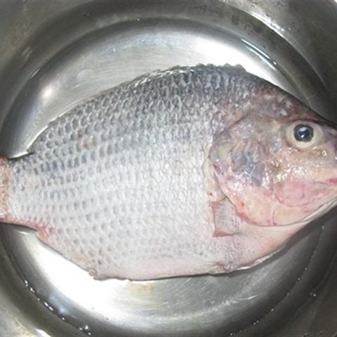 Cách làm ruốc cá rô phi