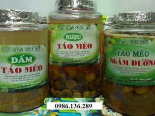 Rượu táo mèo