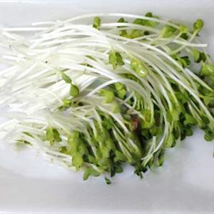Cách làm salad bơ dưa hấu