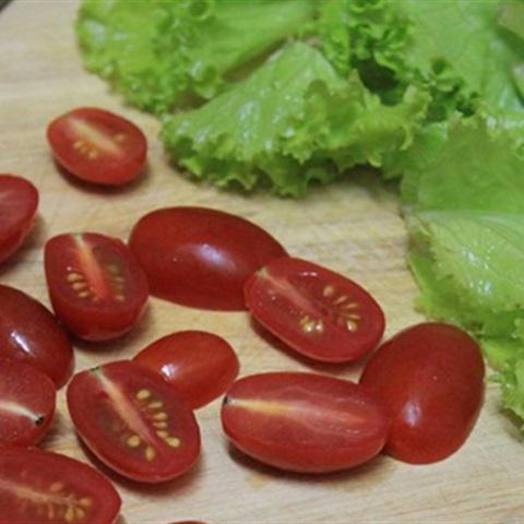 Cách làm salad bơ trứng