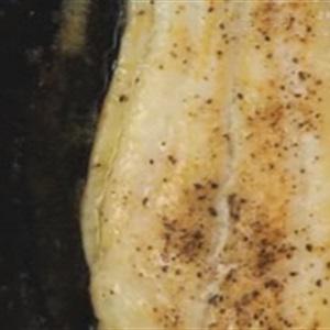 Cách làm salad cá chiên