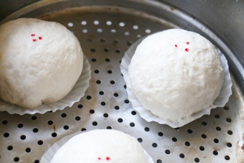 Salad cải mầm bò