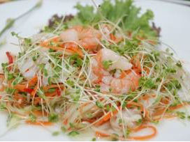 Salad cải mầm hải sản