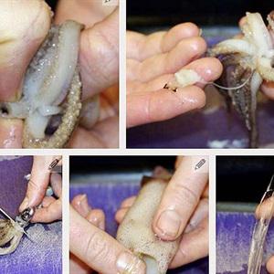 Cách làm salad mực ống