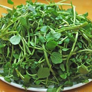 Cách làm salad mực trộn