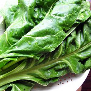 Cách làm salad thịt gà sữa chua