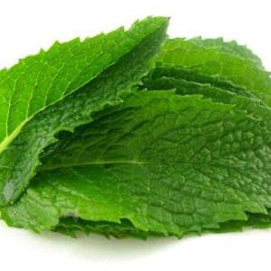 Cách làm salad tôm cuộn