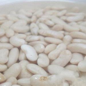 Cách làm salad tôm đậu trắng