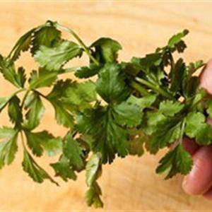 Cách làm salad tôm mix hoa quả