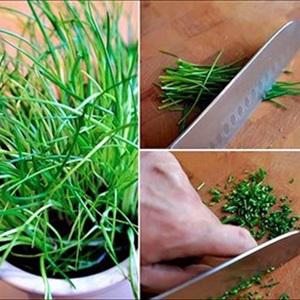 Cách làm salad trứng kẹp bánh mì