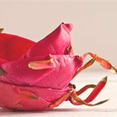 Cách làm salad vỏ thanh long