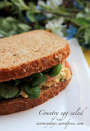 Sandwich xà lách trứng