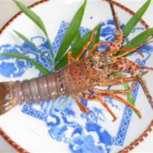 Cách làm sashimi tôm hùm