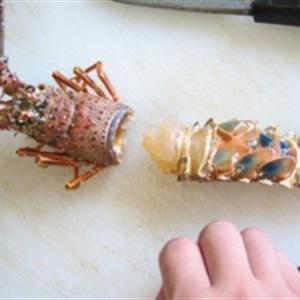 Cách làm sashimi tôm hùm