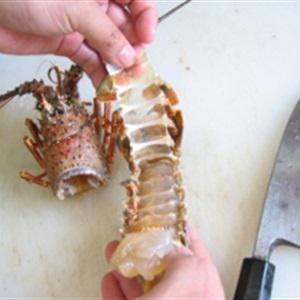 Cách làm sashimi tôm hùm