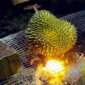 Cách làm sầu riêng nướng