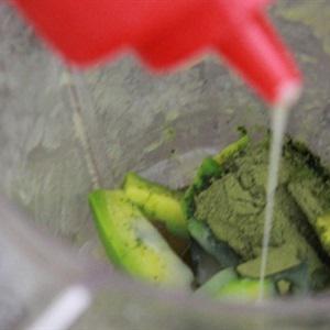 Cách làm sinh tố bơ trà xanh