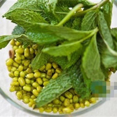 Cách làm sinh tố đậu xanh bạc hà