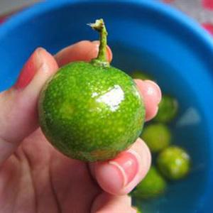 Cách làm sinh tố hoa hồng đá