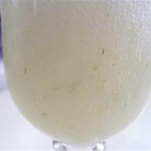 Cách làm sinh tố nha đam chanh tươi