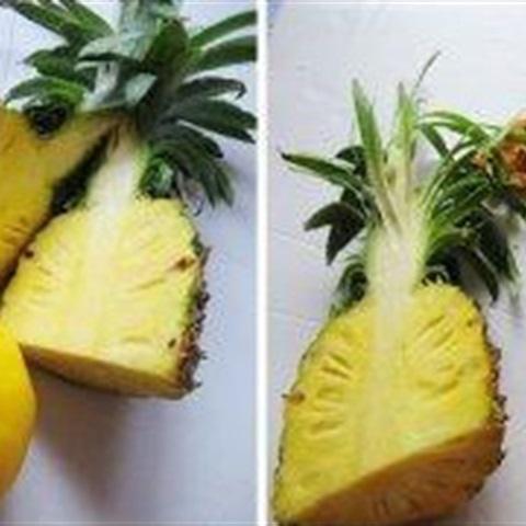 Cách làm sinh tố thơm dưa vàng