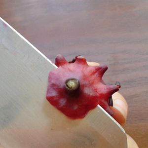 Cách làm siro bụp giấm