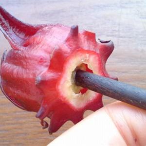 Cách làm siro bụp giấm