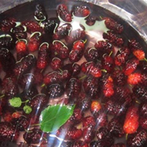 Cách làm siro dâu tằm mát lạnh