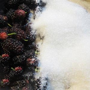 Cách làm siro dâu tằm