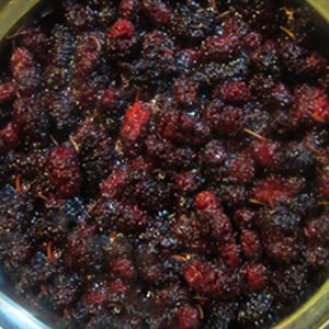 Cách làm siro dâu tằm