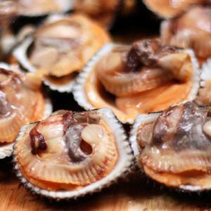 Cách làm sò huyết giòn ngọt xào rau răm